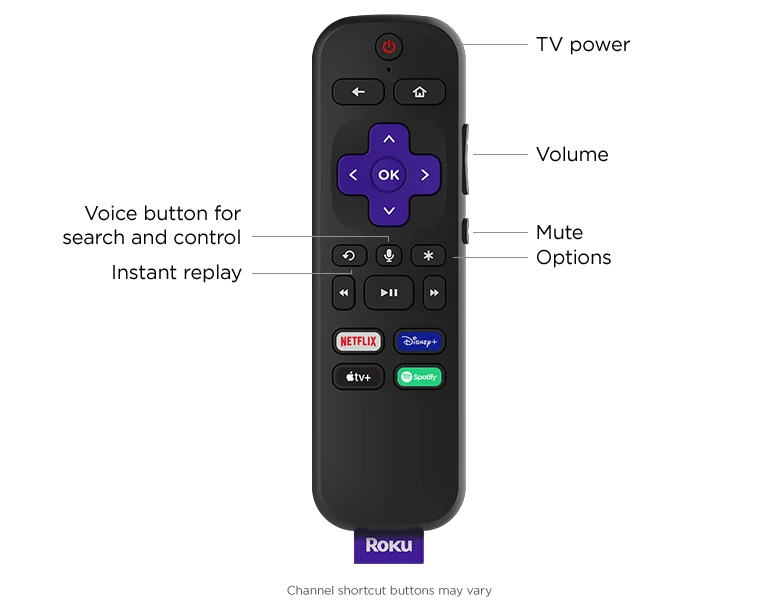 Roku 4K Stick Remote